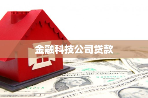 达仁金融科技公司贷款