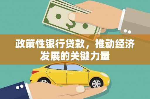 达仁政策性银行贷款，推动经济发展的关键力量
