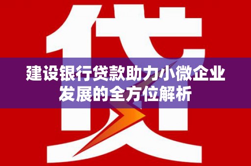 达仁建设银行贷款助力小微企业发展的全方位解析