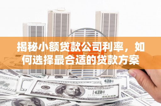 达仁揭秘小额贷款公司利率，如何选择最合适的贷款方案