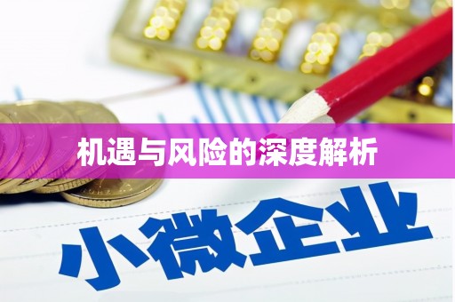 达仁机遇与风险的深度解析