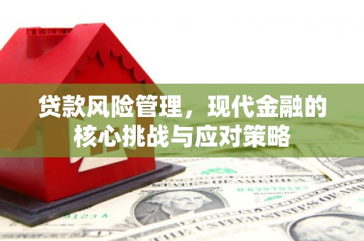 达仁贷款风险管理，现代金融的核心挑战与应对策略