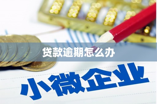 达仁贷款逾期怎么办