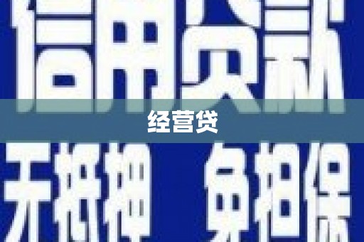 达仁经营贷