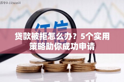 达仁贷款被拒怎么办？5个实用策略助你成功申请