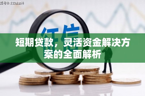 达仁短期贷款，灵活资金解决方案的全面解析