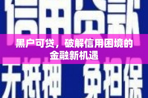 达仁黑户可贷，破解信用困境的金融新机遇