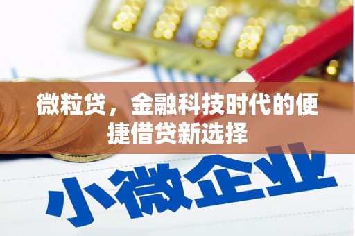 达仁微粒贷，金融科技时代的便捷借贷新选择