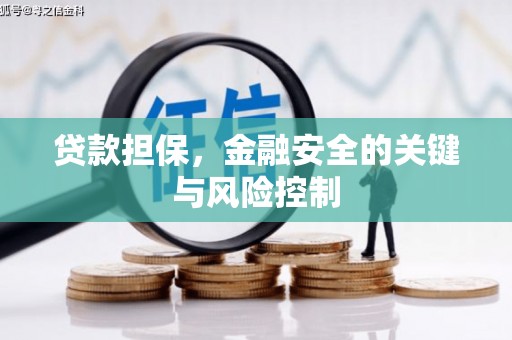 达仁贷款担保，金融安全的关键与风险控制