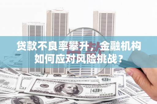 达仁贷款不良率攀升，金融机构如何应对风险挑战？