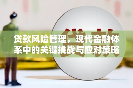 达仁贷款风险管理，现代金融体系中的关键挑战与应对策略