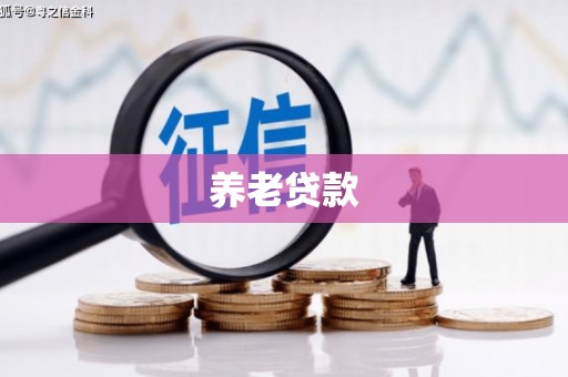 达仁养老贷款