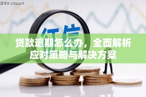 达仁贷款逾期怎么办，全面解析应对策略与解决方案
