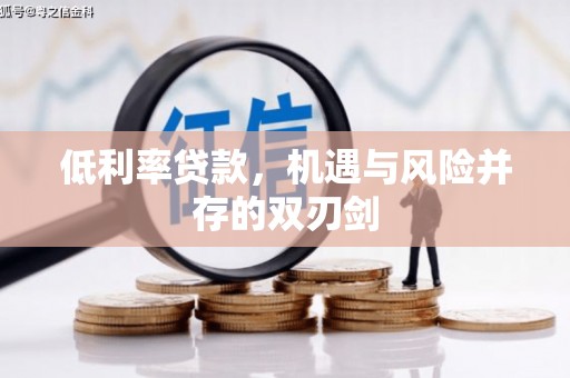 达仁低利率贷款，机遇与风险并存的双刃剑