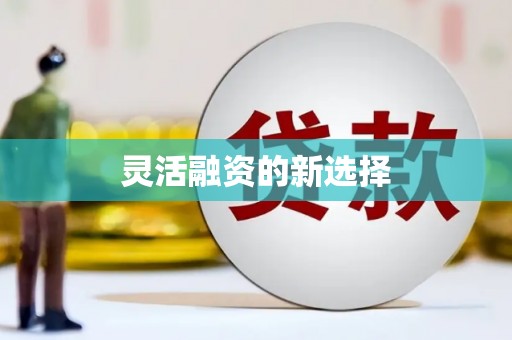 达仁灵活融资的新选择