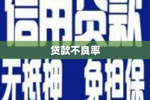 达仁贷款不良率