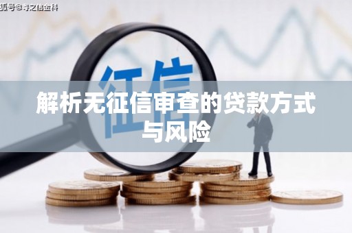 达仁解析无征信审查的贷款方式与风险