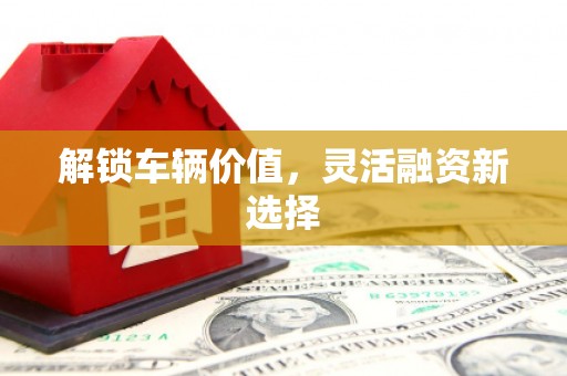 达仁解锁车辆价值，灵活融资新选择