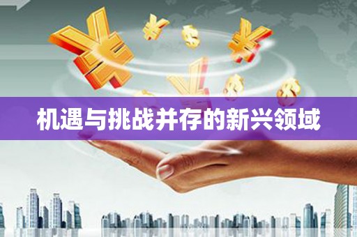 达仁机遇与挑战并存的新兴领域