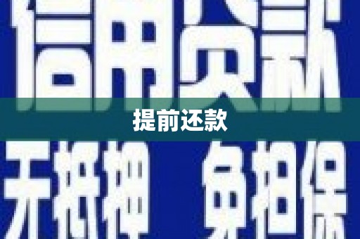 达仁提前还款