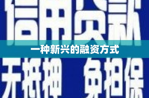 达仁一种新兴的融资方式
