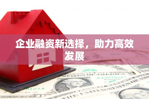 达仁企业融资新选择，助力高效发展