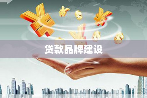 达仁贷款品牌建设